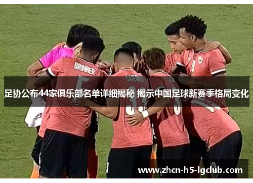足协公布44家俱乐部名单详细揭秘 揭示中国足球新赛季格局变化